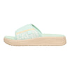 Celadon Green/Multi